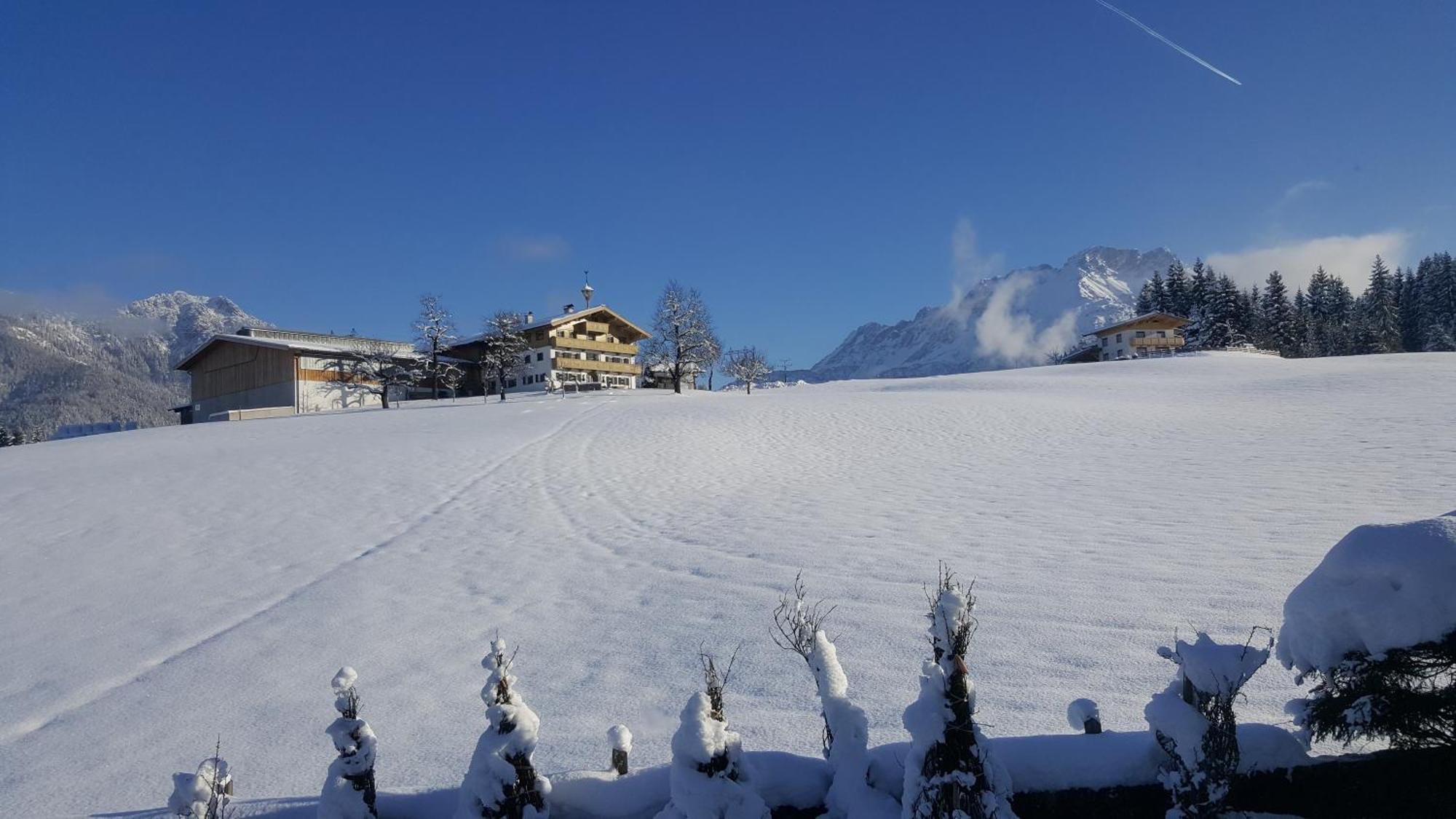 Appartement Seebacher Hochfilzen Exteriér fotografie