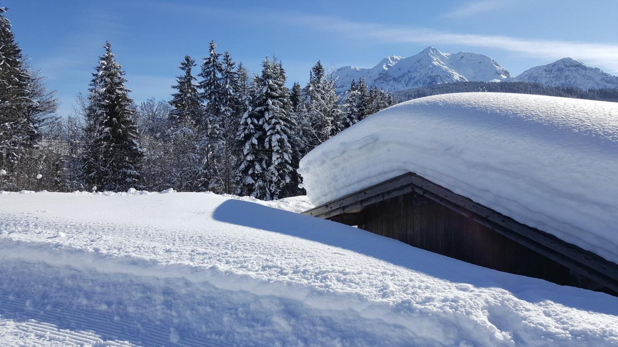 Appartement Seebacher Hochfilzen Exteriér fotografie