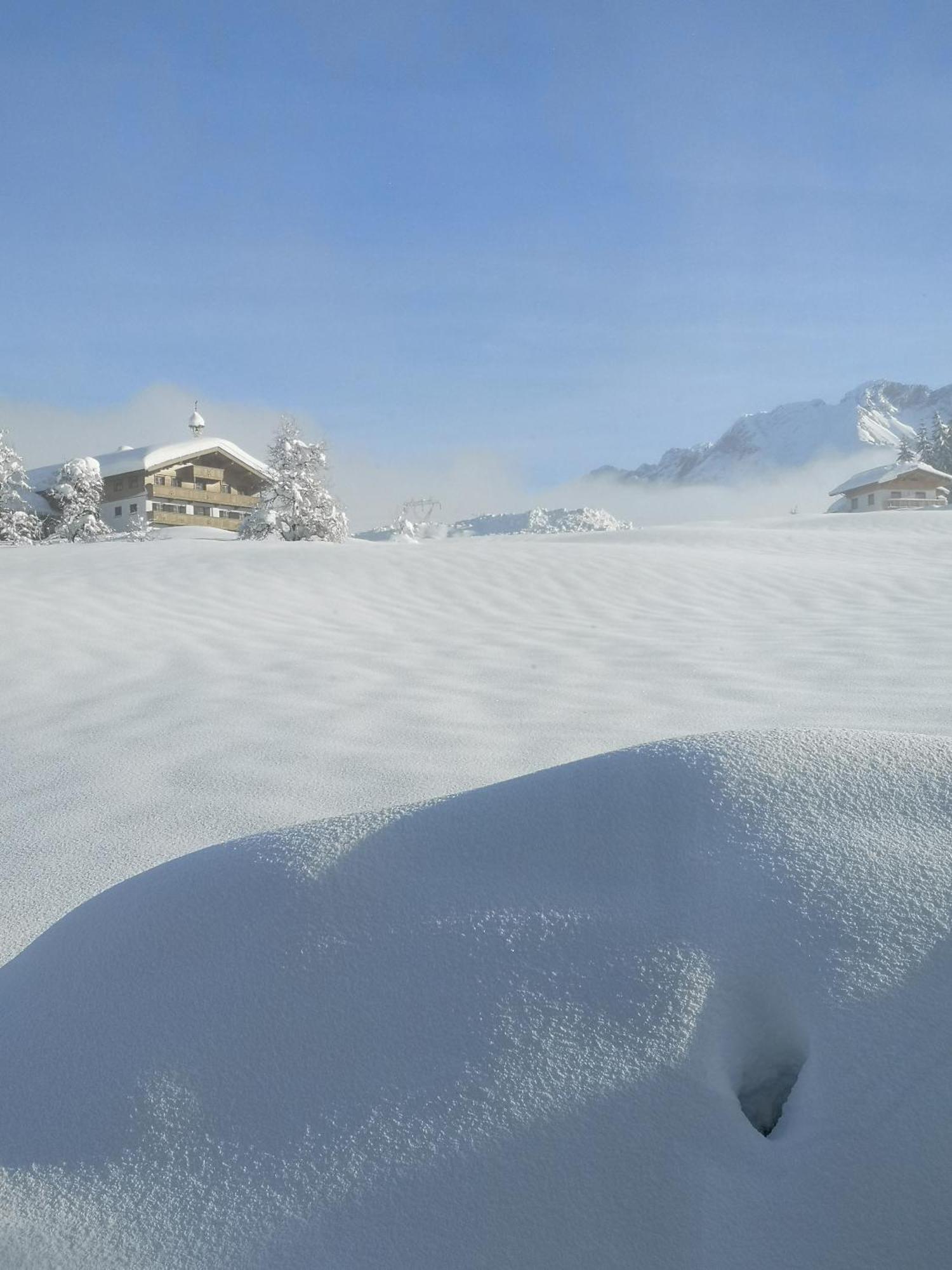 Appartement Seebacher Hochfilzen Exteriér fotografie
