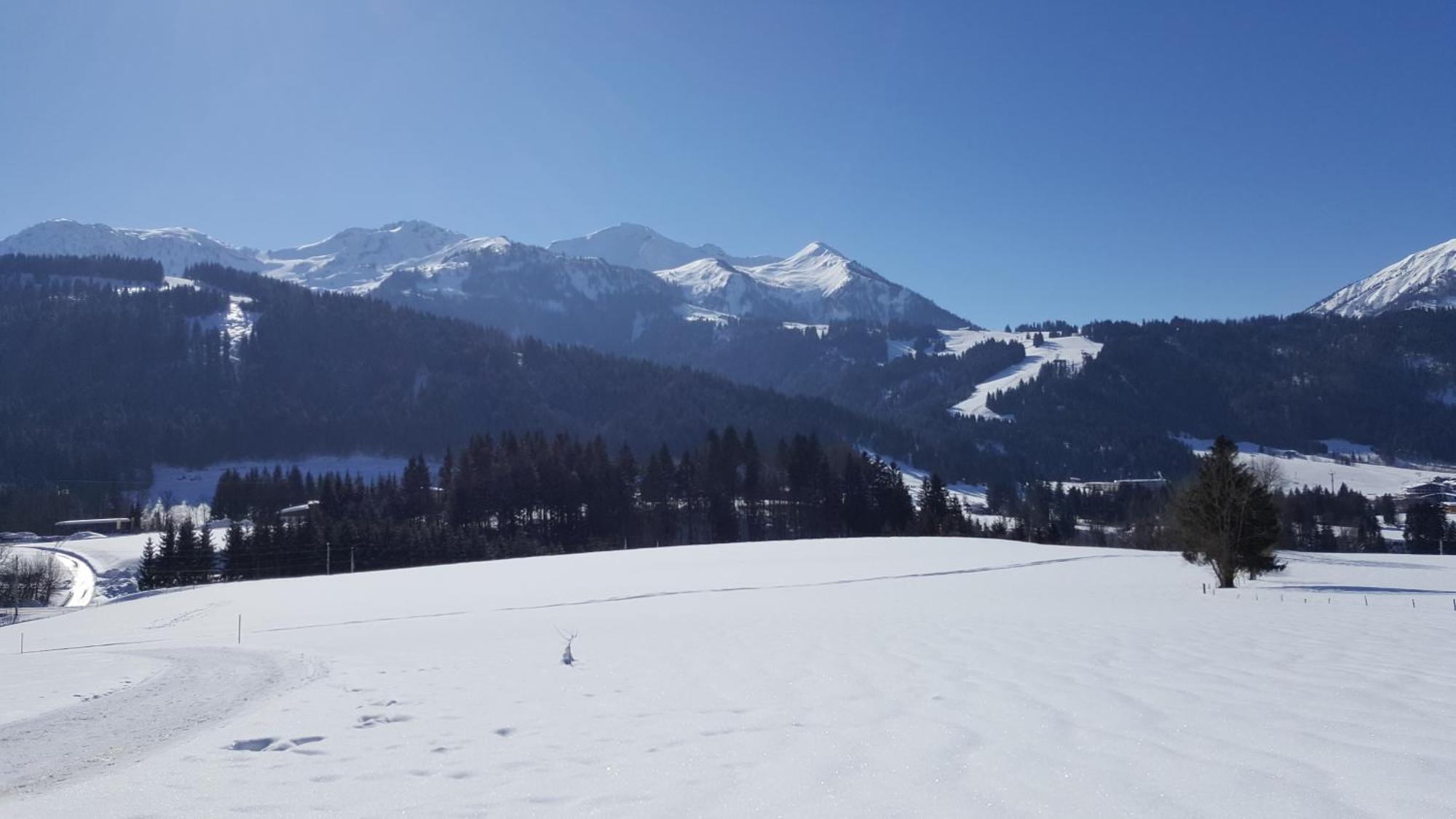 Appartement Seebacher Hochfilzen Exteriér fotografie