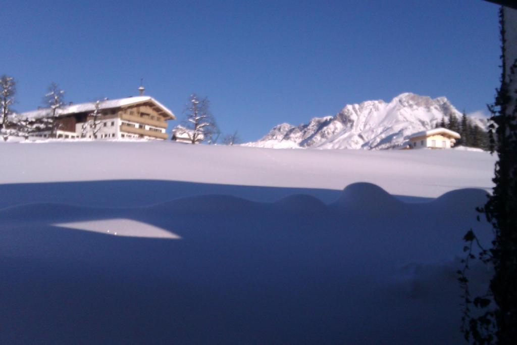 Appartement Seebacher Hochfilzen Exteriér fotografie