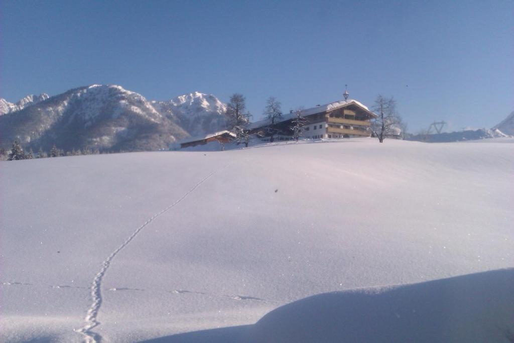 Appartement Seebacher Hochfilzen Exteriér fotografie
