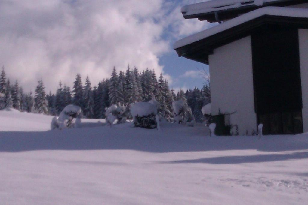 Appartement Seebacher Hochfilzen Exteriér fotografie